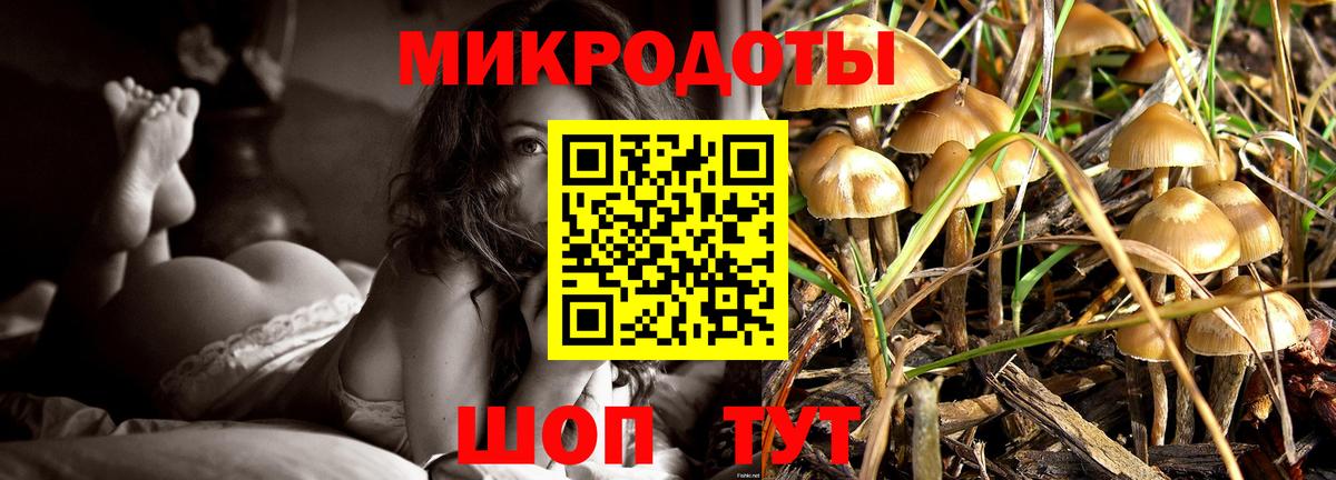 Галлюциногенные грибы Psilocybe  Вход с VPN  Нефтеюганск 