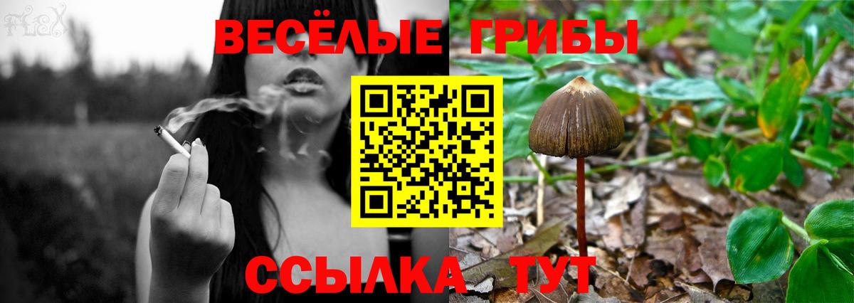 Псилоцибиновые грибы мицелий Нефтеюганск